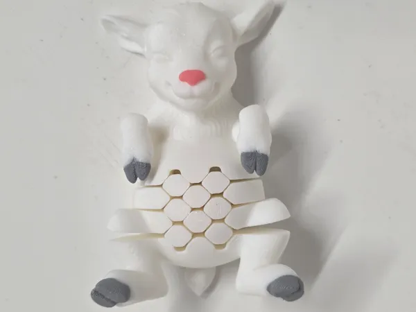 https://makerworld.bblmw.com/makerworld/model/US6d3c5197340c94/design/76c65dd2855d8c0a.jpg