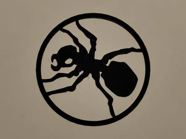 Silhouette de fourmi, décoration murale