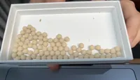 0.24mm layer, 2 walls, 15% infill