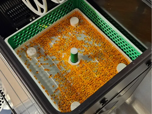 https://makerworld.bblmw.com/makerworld/model/US6d410a525a40bb/design/2025-04-13_563477e6d7da7.jpg