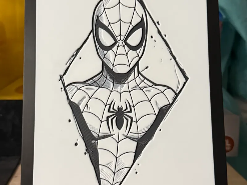 Spiderman B&W Picture with Frame 