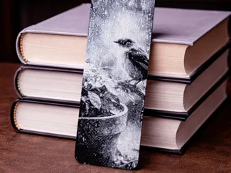 Rainwatcher Bookmark