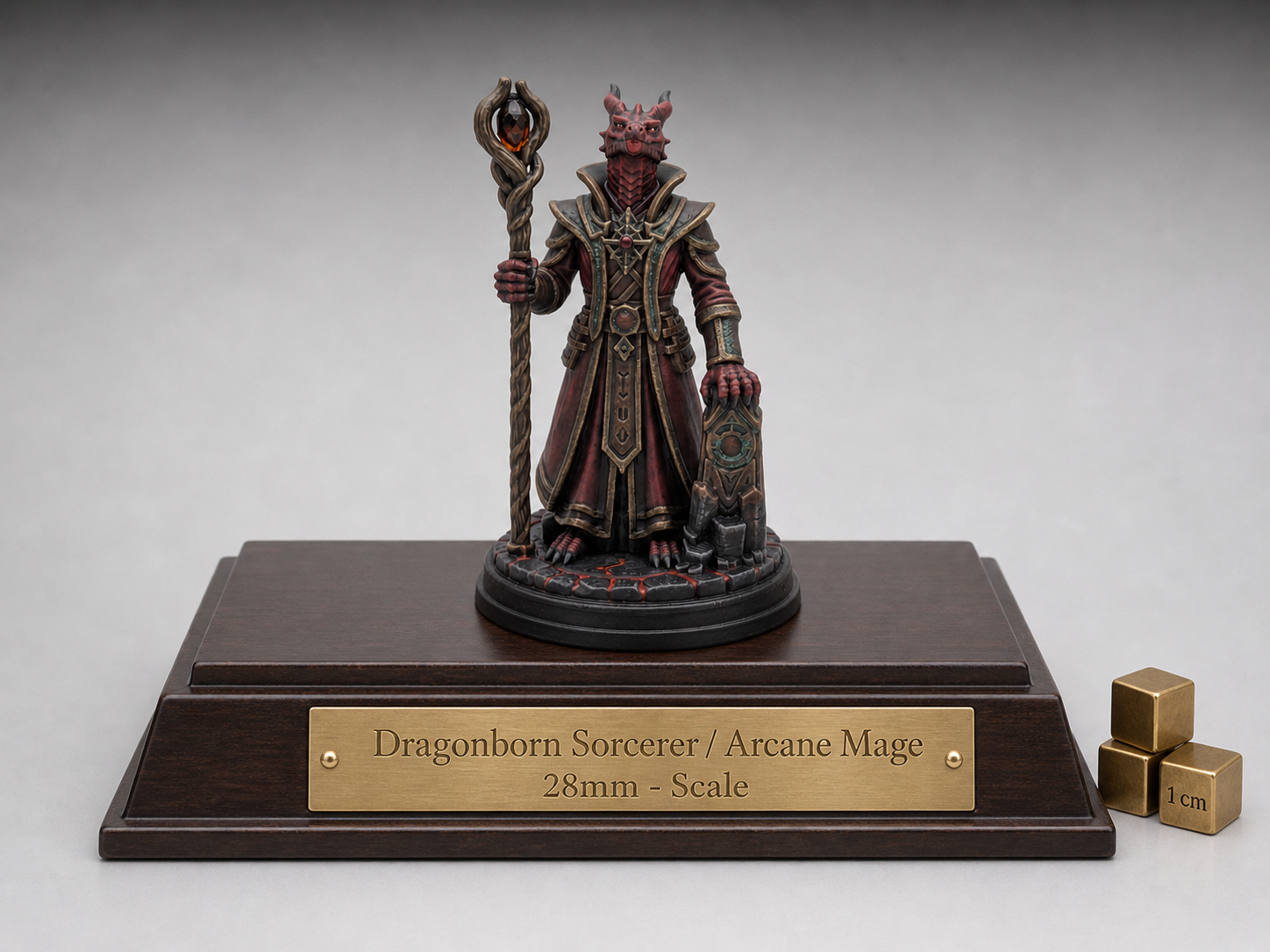 Dragonborn Sorcerer / Arcane Mage Mini