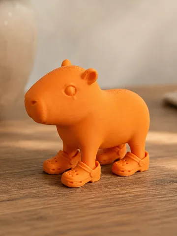 Tapa o cubierta: Capybara with Crocs — vista de referencia 2