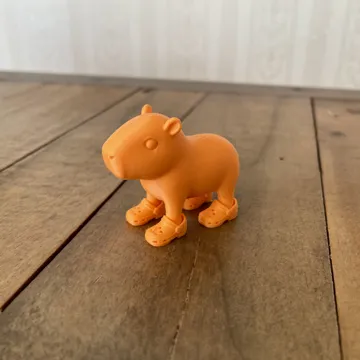 Tapa o cubierta: Capybara with Crocs — vista de referencia 3