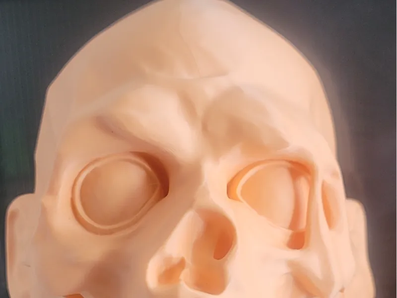 Tarman Bust