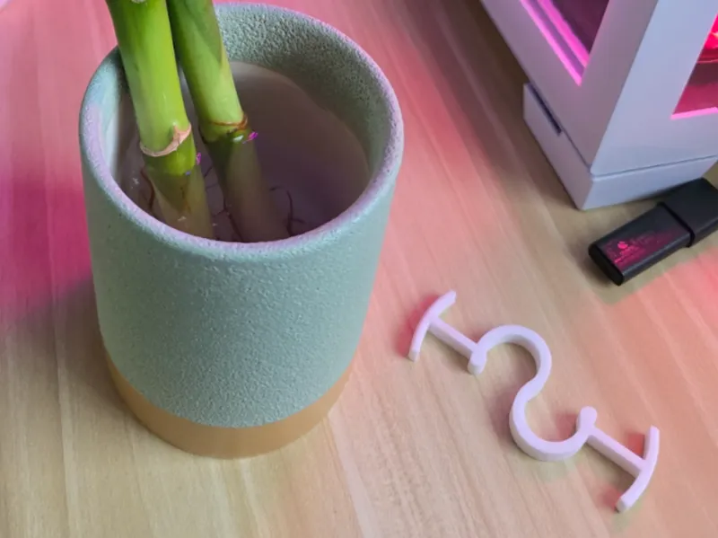 Lucky Bamboo Support Clip