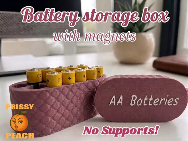 https://makerworld.bblmw.com/makerworld/model/US6d503c30f997b4/design/2ca97b107b769a5f.png