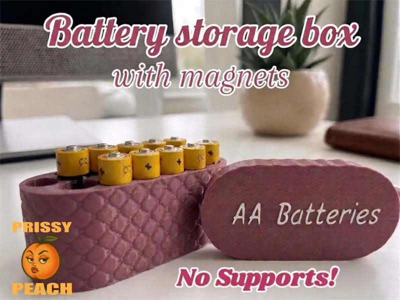 AA Battery Storage Box