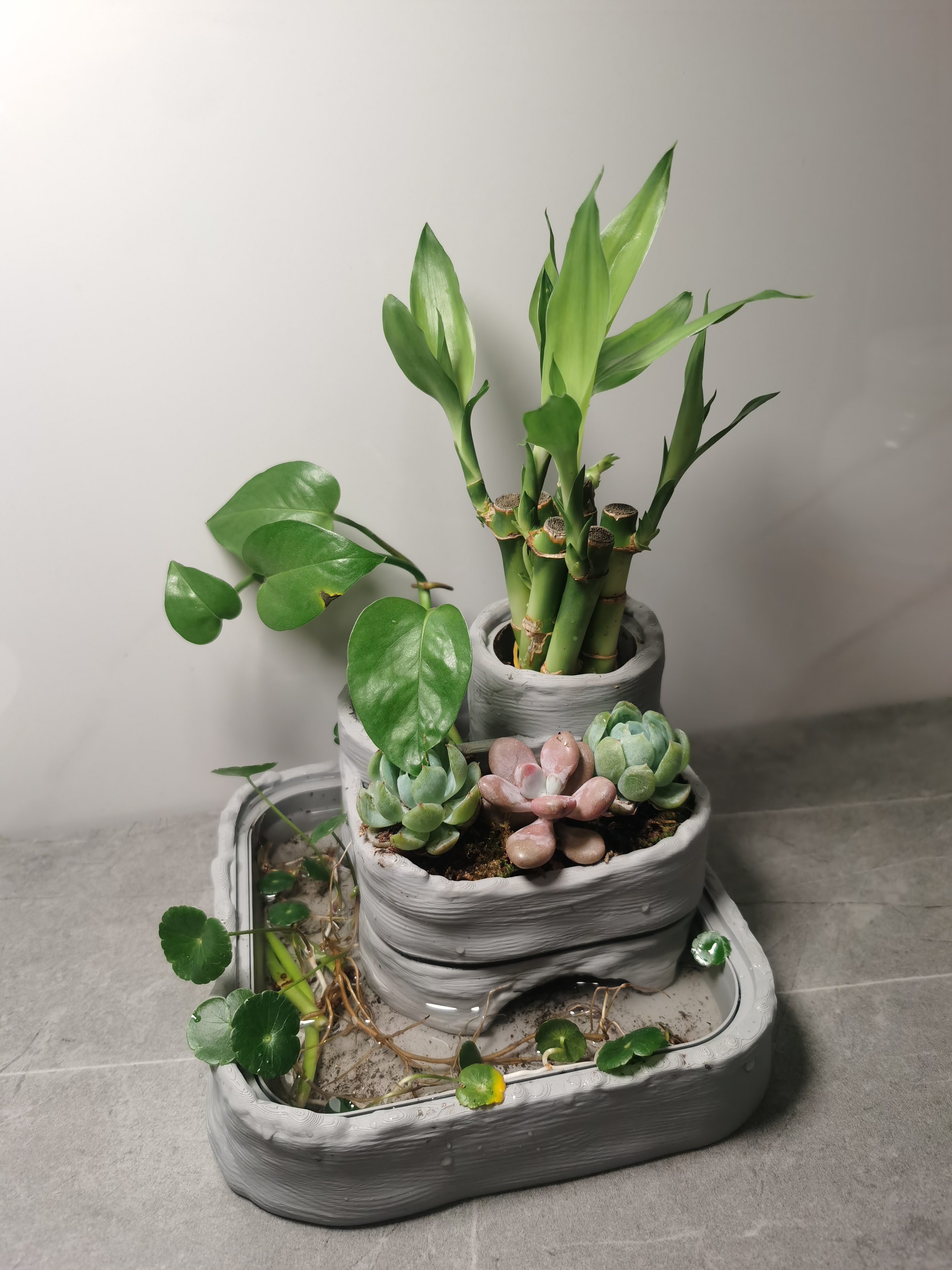 Miniatura 1 do modelo 3D 多功能花盆 生态花盆 泥巴盆 水培 土培