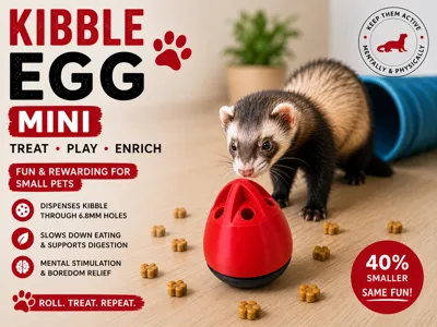 Kibble Egg Mini Treat Dispenser