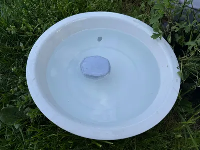 Insect Life Saver
