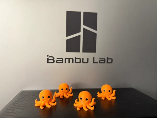 https://makerworld.bblmw.com/makerworld/model/US6d587db79400dd/design/2025-10-20_2a88391232bcb.jpg