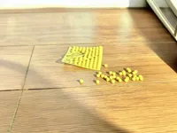 方形裙边 PLA