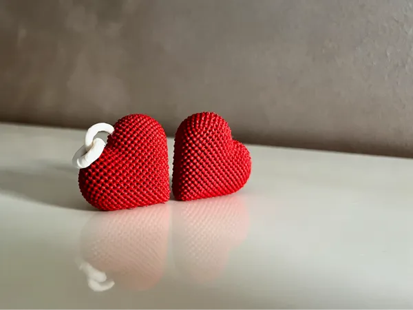 https://makerworld.bblmw.com/makerworld/model/US6d674941c277c/design/2025-01-18_580bb947d1add.png