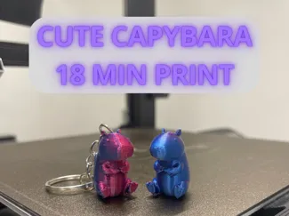 Cute capybara