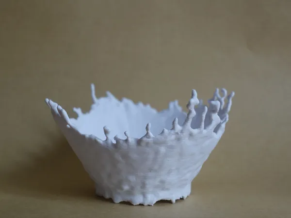 https://makerworld.bblmw.com/makerworld/model/US6d6c9fdf871060/design/2025-05-07_7b32eb22c047.jpg