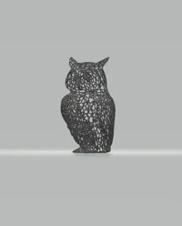 Hibou style Voronoi — photo 5