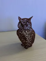 Hibou style Voronoi — photo 6