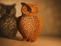 Hibou style Voronoi — photo 1