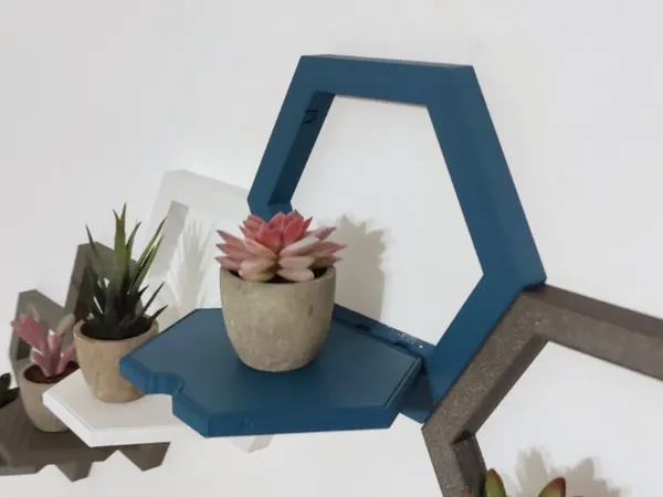 https://makerworld.bblmw.com/makerworld/model/US6d7853e0d073d6/design/2025-01-28_afba07a22e3c6.webp