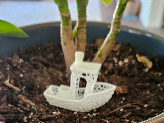 Voronoi Lattice Benchy with Dirt Spike Keel