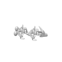Dragon-bouc articulé sur pentagramme — photo 4