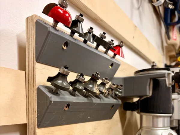 https://makerworld.bblmw.com/makerworld/model/US6d8e68dc694cc/design/8ab42d0b66fb9b8a.jpeg