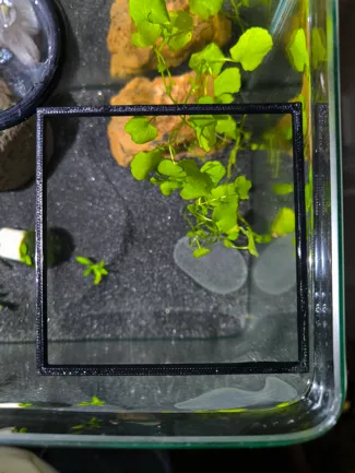 Barriera galleggiante per piante acquario