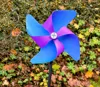 Large PinWheel & Stick, PETG