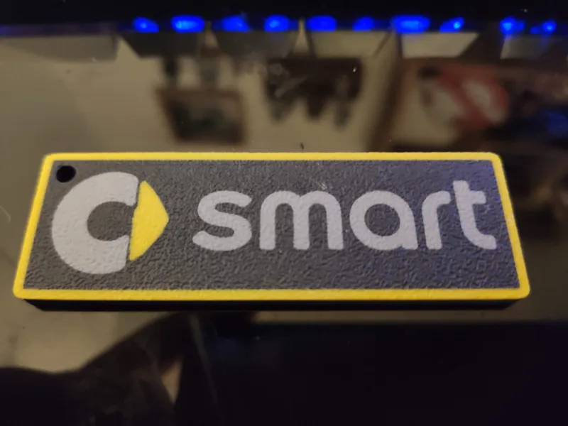 LLAVERO LOGO SMART