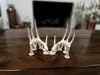 Perfect 10 - BAS Antler Set - 15% Scale