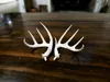 Perfect 10 - BAS Antler Set - 40% Scale