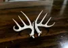 Perfect 10 - BAS Antler Set - 60% Scale