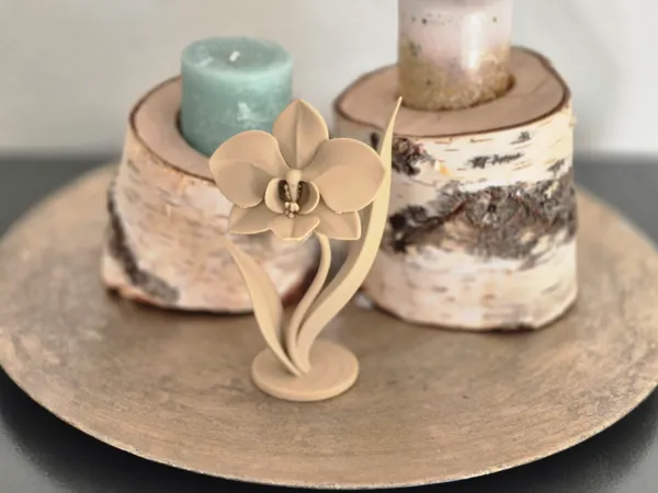 https://makerworld.bblmw.com/makerworld/model/US6d9231fbdd708e/design/2025-06-22_899b044a1c3708.jpg