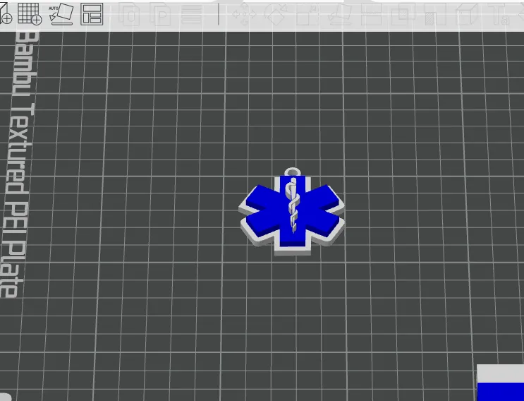 EMS Keychain