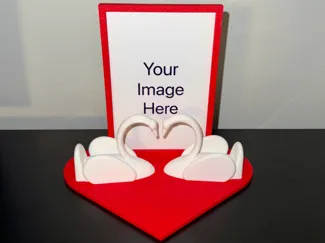 Swans with picture frame