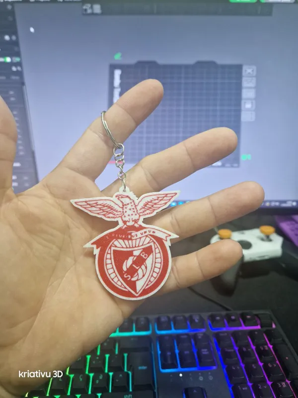 https://makerworld.bblmw.com/makerworld/model/US6d96daedd441e8/design/2024-02-17_854316836b2f4.jpg