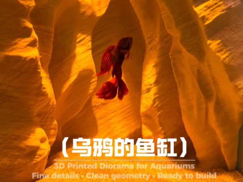 乌鸦的鱼缸系列第11集