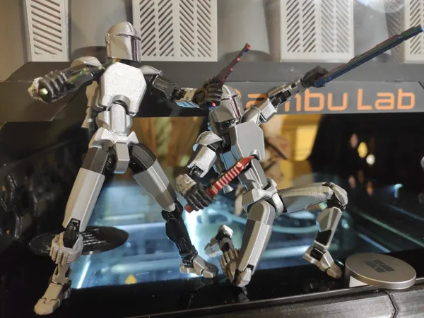 https://makerworld.bblmw.com/makerworld/model/US6d9d64980b3e70/design/2024-10-20_d4191327409de.jpg