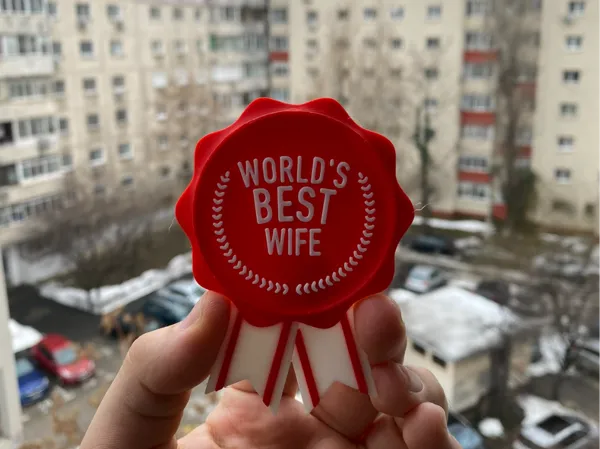 https://makerworld.bblmw.com/makerworld/model/US6d9fcd434c40cc/design/2025-02-28_ee8e6aa447f92.jpg