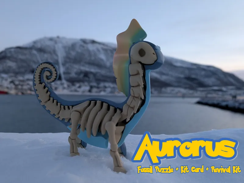 Aurorus Fossil Puzzle Kit Card and Revival Kit