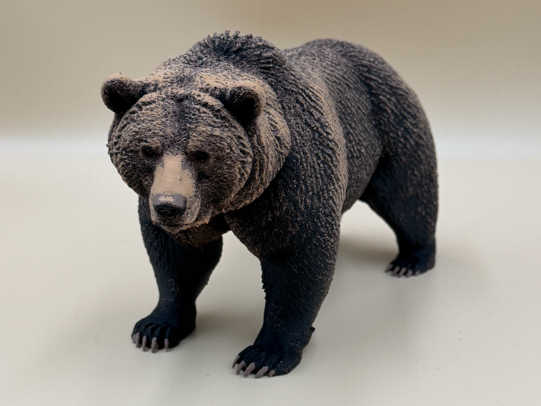 The Wild Grizzly Bear - 1