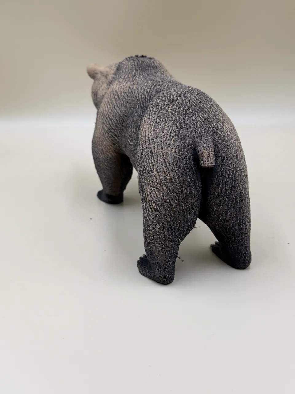 The Wild Grizzly Bear view 3
