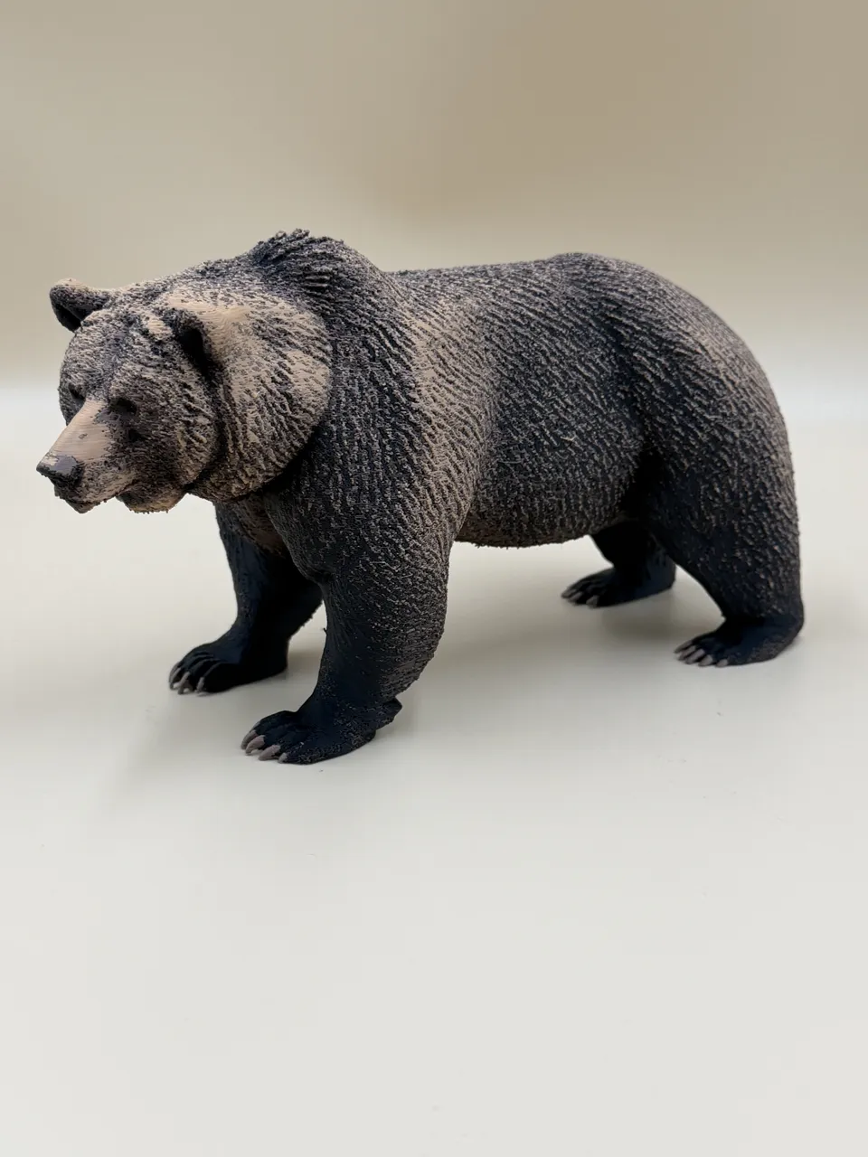 The Wild Grizzly Bear view 2