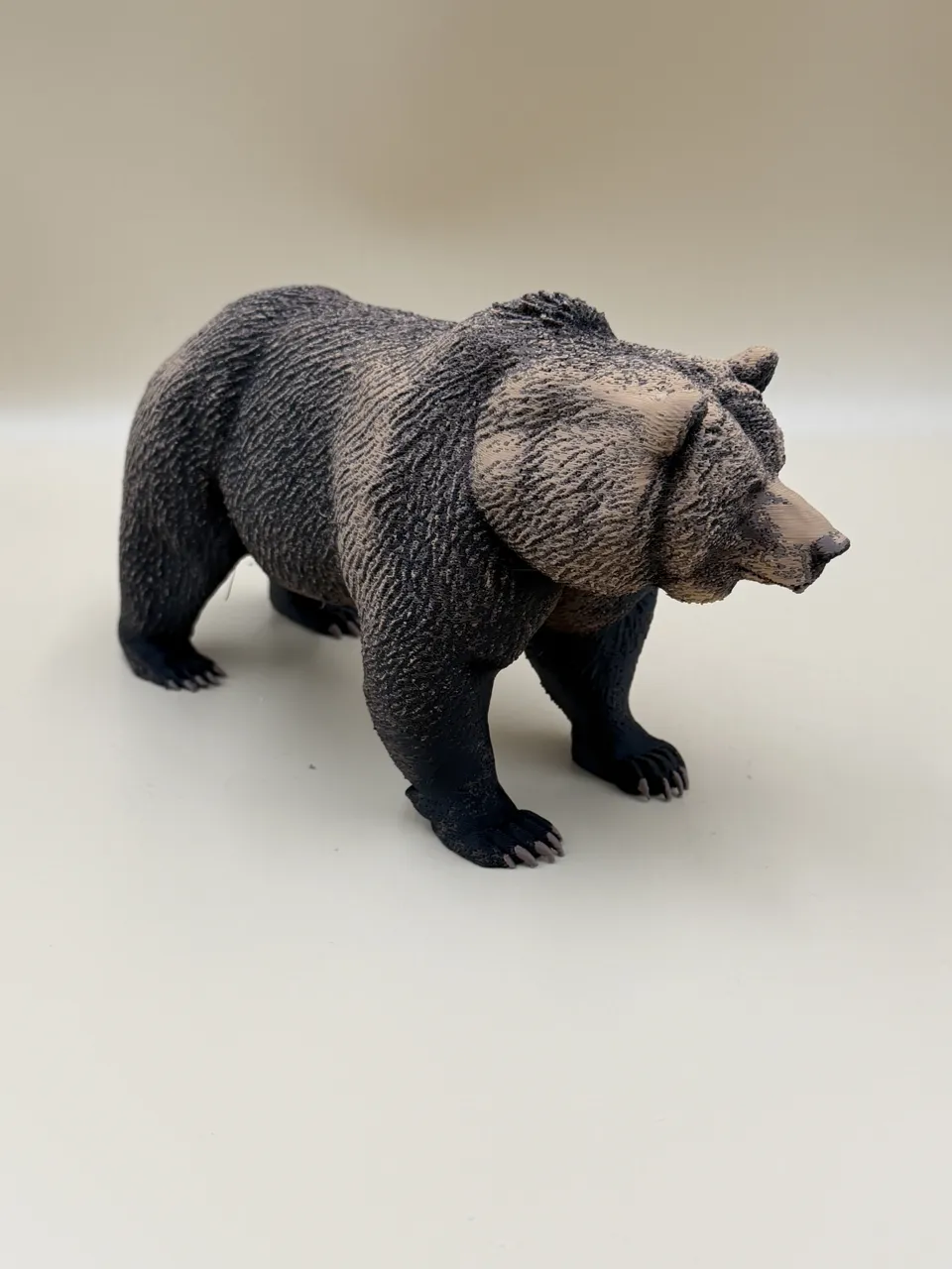 The Wild Grizzly Bear view 4