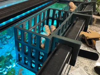 Aquarium Plants Box for 1 Inch Frame