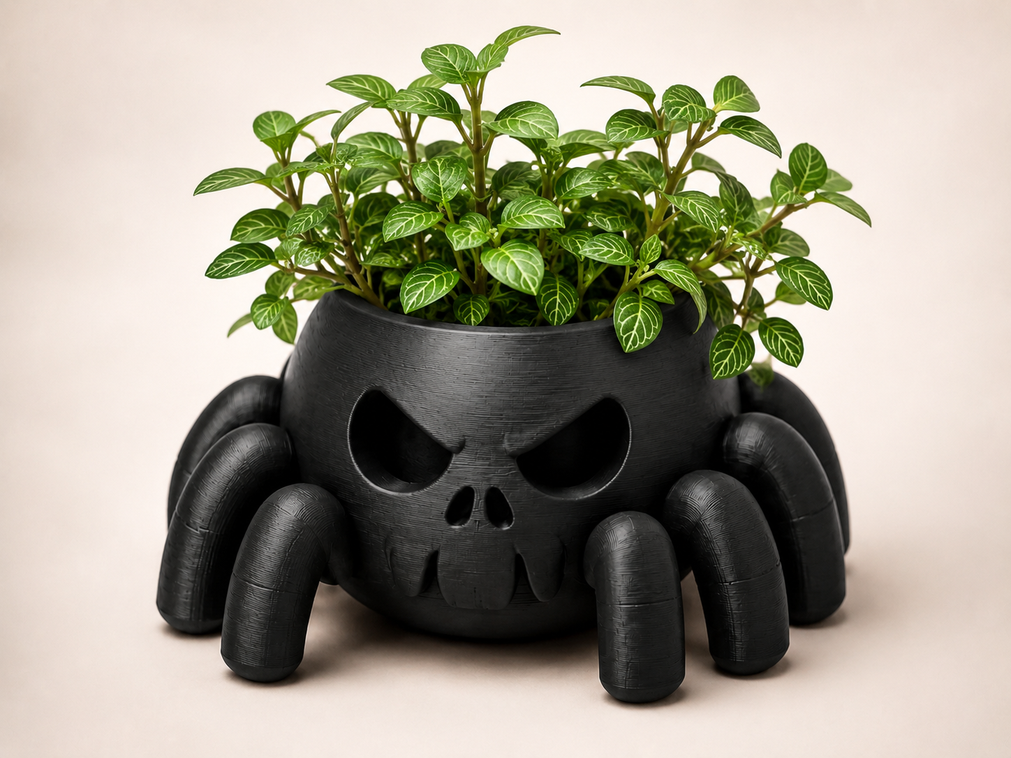 Skull Spider Mini Planter