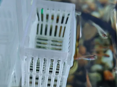 Simple Separable Hydroponic Basket Hanging Accessory for Fish Tanks