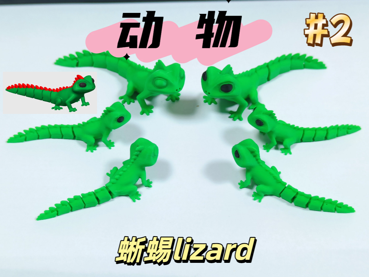 动物-蜥蜴lizard-最小蜥蜴仅2g